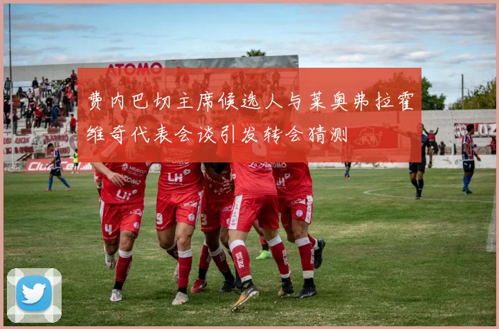 费内巴切主席候选人与莱奥弗拉霍维奇代表会谈引发转会猜测